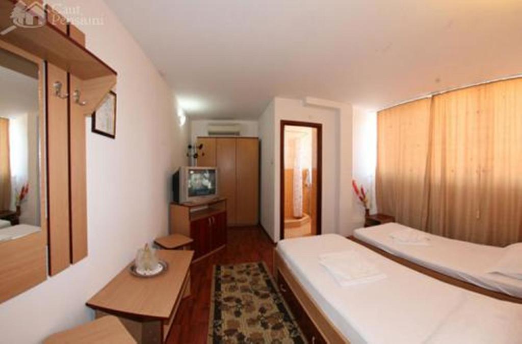 Pensiunea Ramona Tulcea Kamer foto