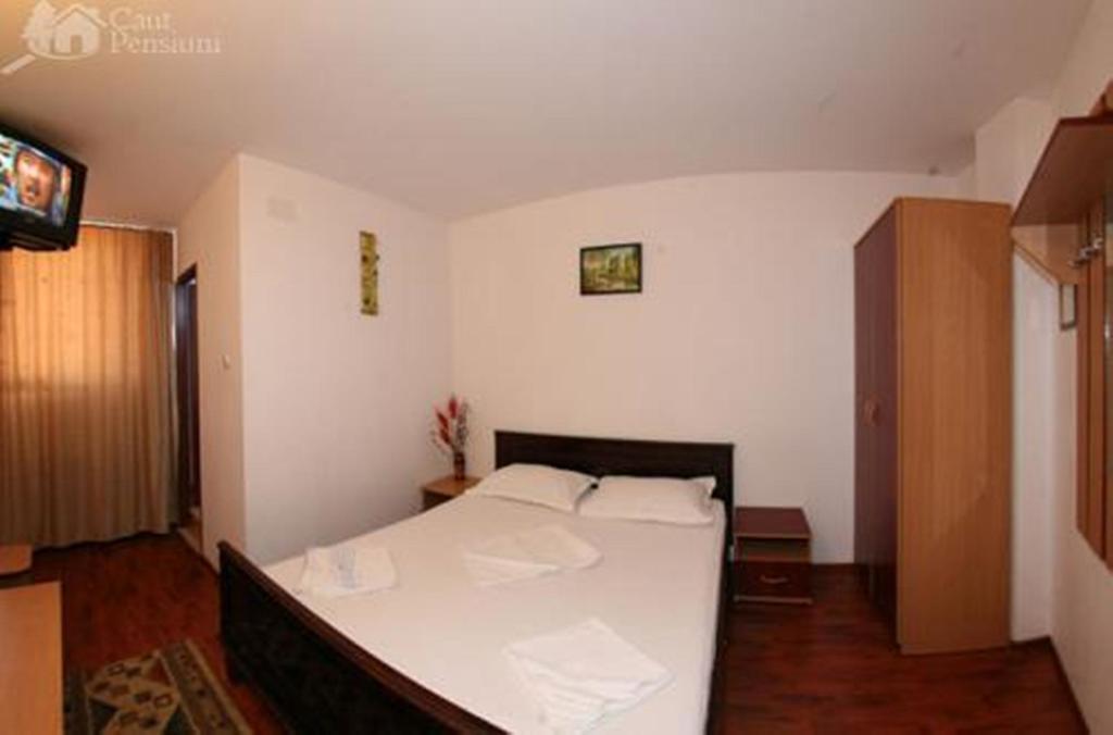 Pensiunea Ramona Tulcea Kamer foto