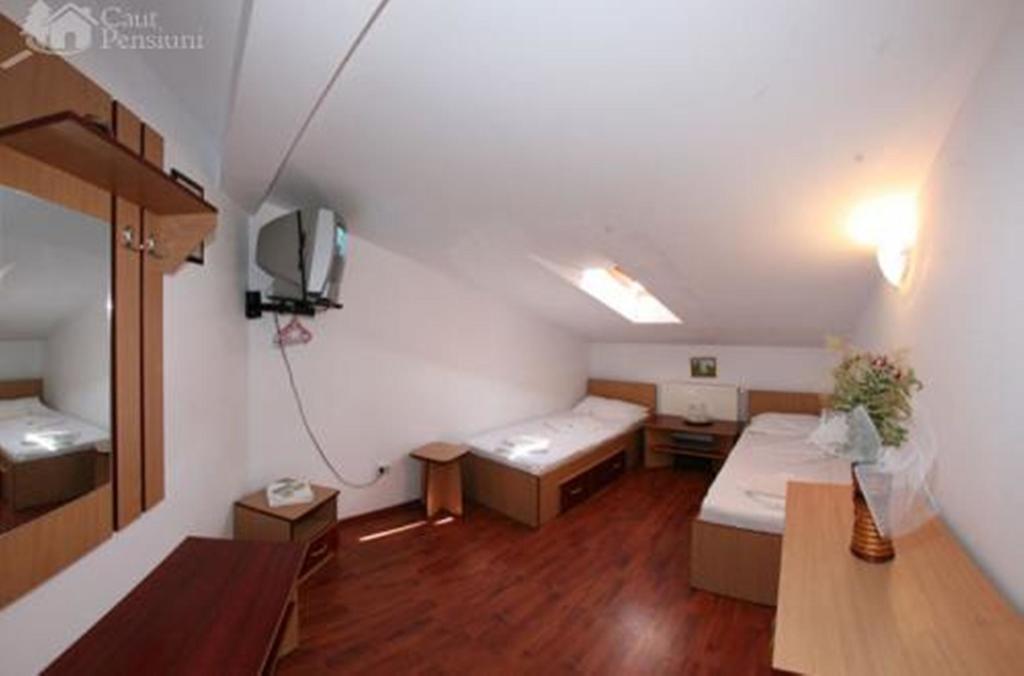 Pensiunea Ramona Tulcea Kamer foto