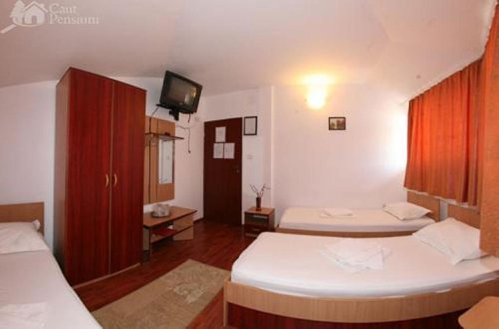 Pensiunea Ramona Tulcea Kamer foto
