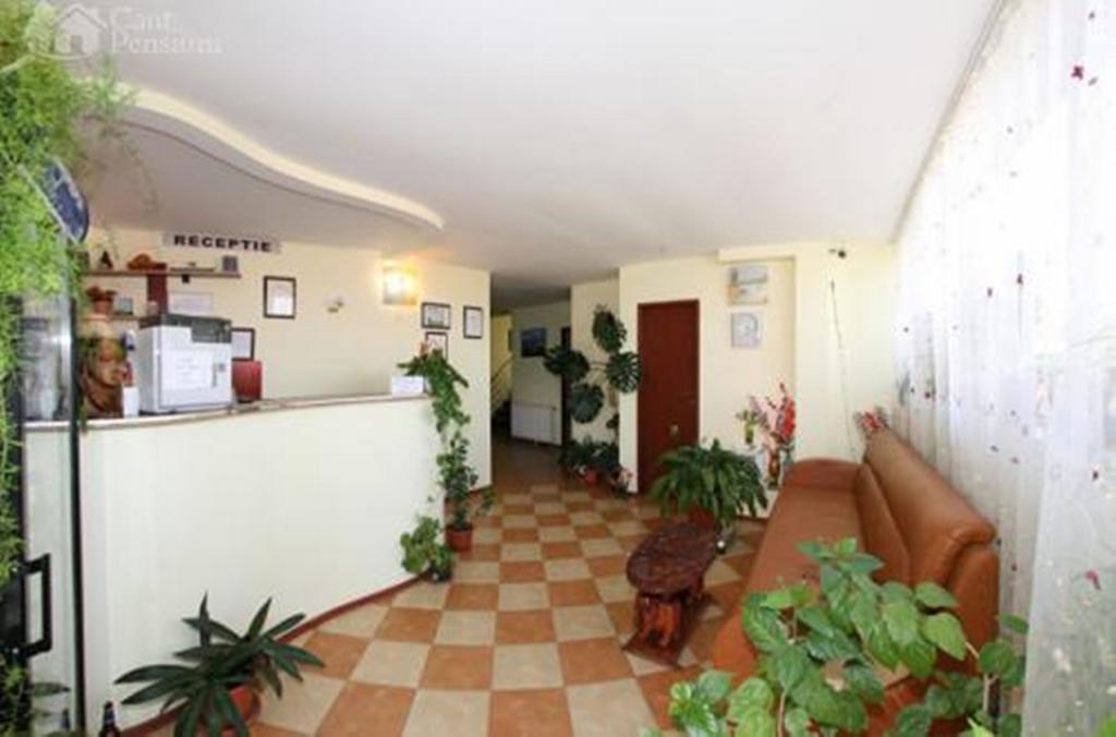 Pensiunea Ramona Tulcea Kamer foto