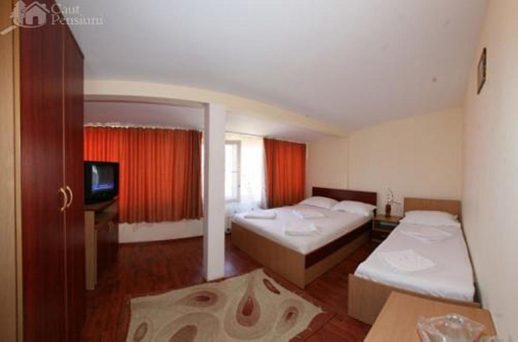 Pensiunea Ramona Tulcea Kamer foto