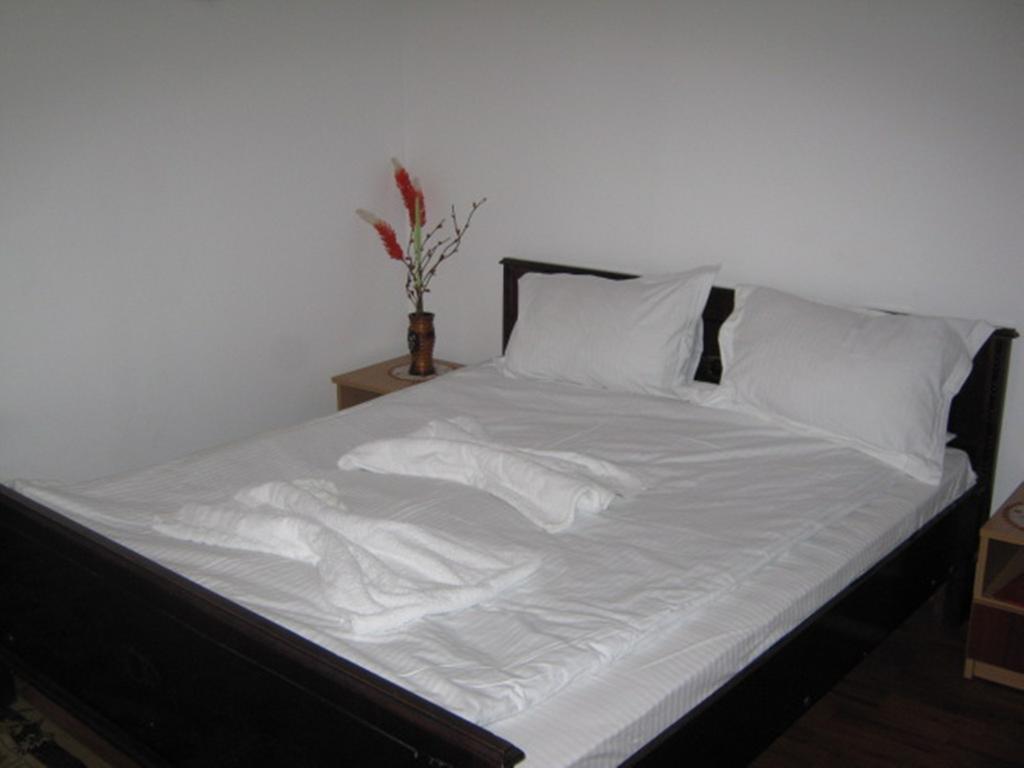 Pensiunea Ramona Tulcea Kamer foto