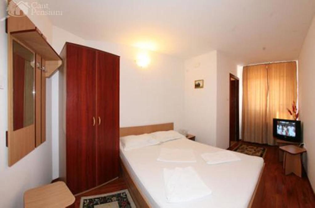 Pensiunea Ramona Tulcea Kamer foto