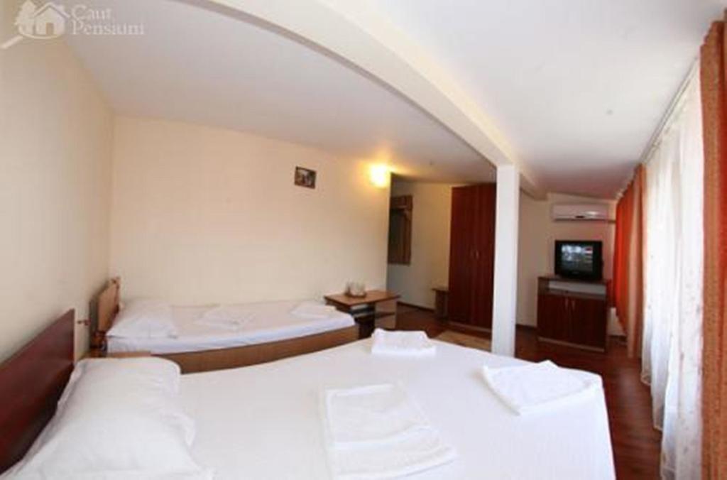 Pensiunea Ramona Tulcea Buitenkant foto